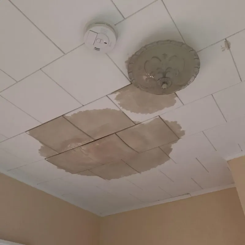 Ceiling Water Damage Repair in Wake Village, TX