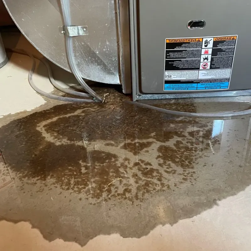 Pipe Burst and Leak Restoration in Wake Village, TX