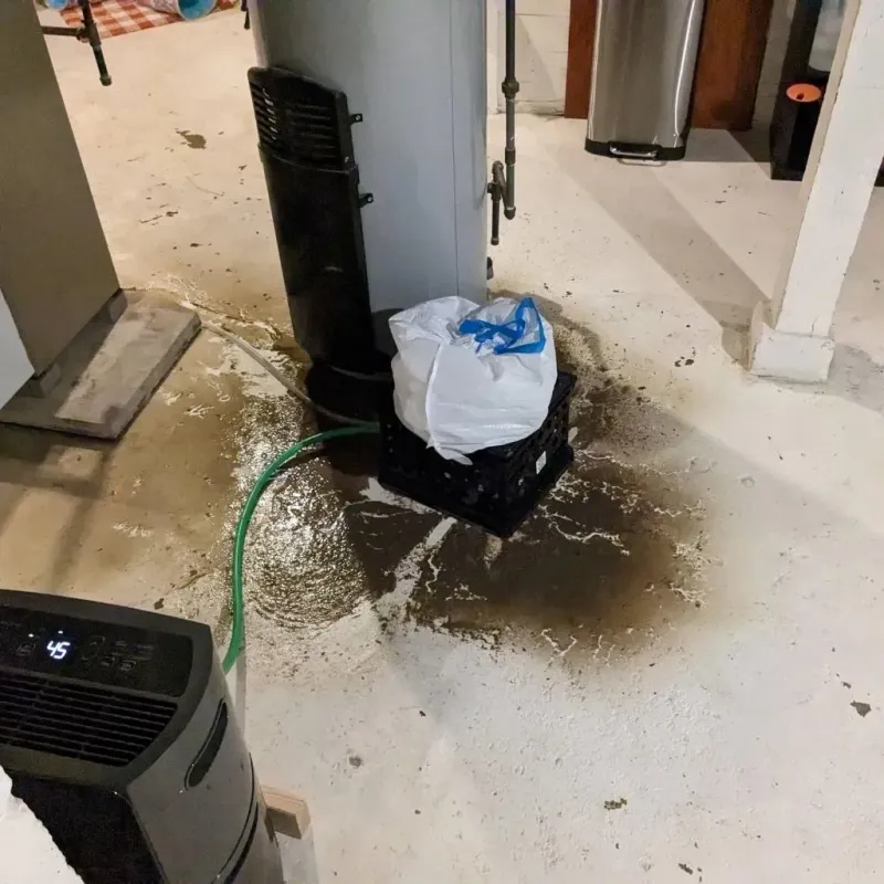 Sewage Backup Cleanup Service in Wake Village, TX